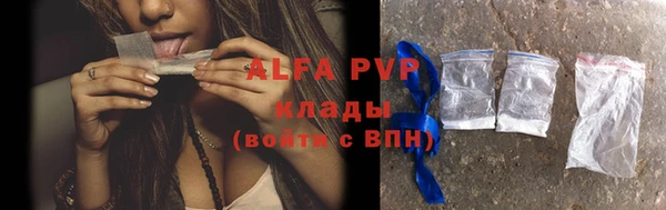 индика Беломорск