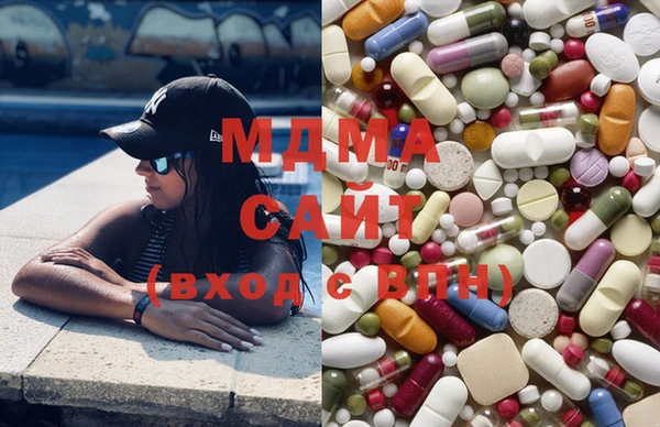 индика Беломорск